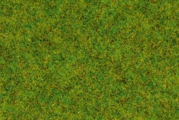 NOC50210 - Gras; middengroen - 100 g - 2;5 mm