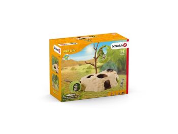 SHL42530 - Bijeenkomst van de Stokstaartjes