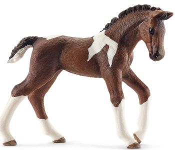 SHL13758 - Veulen Trakehnen