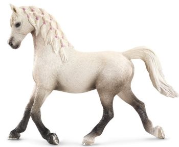 SHL13761 - Arabische merrie