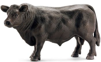 SHL13766 - Angus stier