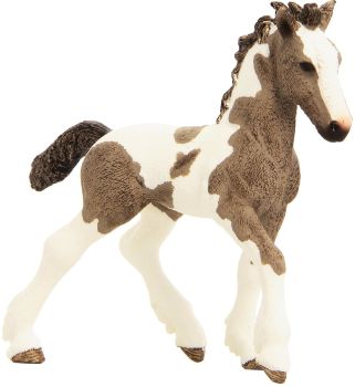 SHL13774 - Tinker veulen