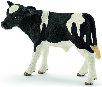 SHL13798 - Holstein kalf