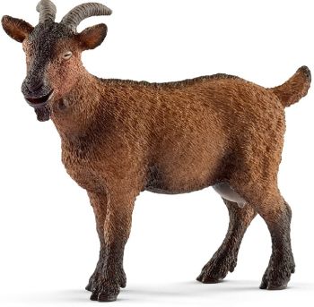 SHL13828 - Geit