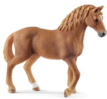 SHL13852 - Quarter Horse Merrie