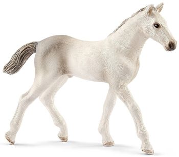 SHL13860 - Holstein veulen