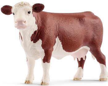 SHL13867 - Hereford koe