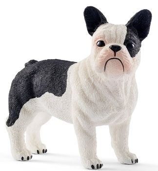 SHL13877 - Franse bulldog