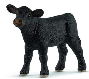 SHL13880 - Angus Kalf