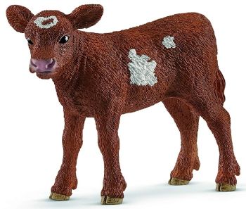 SHL13881 - Texas Longhorn Kalf