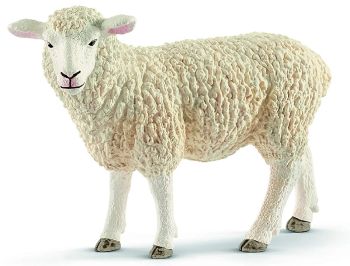 SHL13882 - Schaap