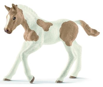 SHL13886 - Paint Horse veulen