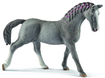 SHL13888 - Trakehnen merrie
