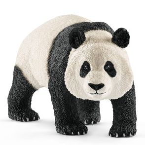 SHL14772 - Reuzenpanda mannetje