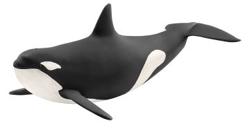 SHL14807 - orka