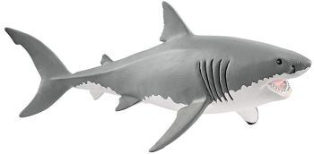 SHL14809 - witte haai