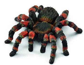 SHL14829 - tarantula