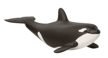 SHL14836 - baby orka
