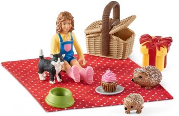 SHL42426 - verjaardag picknick