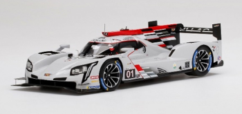 TS0330 - CADILLAC Dpi-V.R #01 IMSA 24 uur van Daytona 2021 R.VAN DER ZANDE-K.MAGNUSSEN-S.DIXON-M.ERICSSON