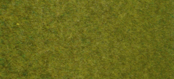 HEK1861 - Vloerkleed van wild gras bos 45x17 cm